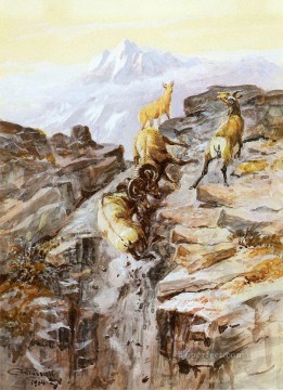  sheep oil painting - big horn sheep 1904 Charles Marion Russell Indiana cowboy